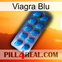 Viagra Blu viagra1